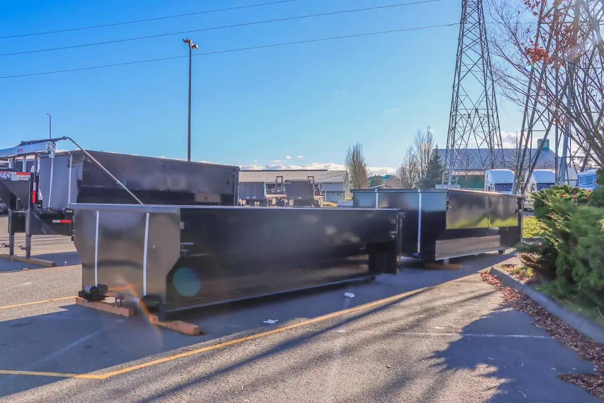 Professional dumpster rental and junk removal service in Sun City West